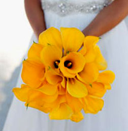Puerto Vallarta weddings
